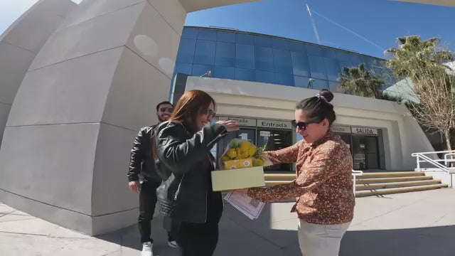 Cargar video: Una entrega real preparada para provocar emoción desde el primer momento